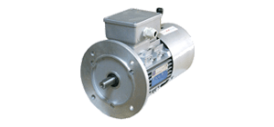 <b>Электродвигатели MOTIVE</b>