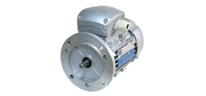 <b>Электродвигатели MOTIVE</b>