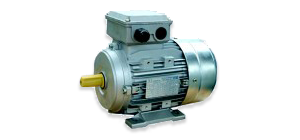 <b>Электродвигатели SITI</b>