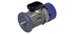 <b>Электродвигатели MGM</b> (со встроенным электромагнитным тормозом 380AC/220DC)