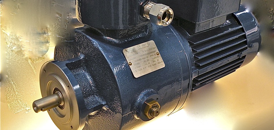 18d6e7ee4c9bafe4a4c8c85c48b99302